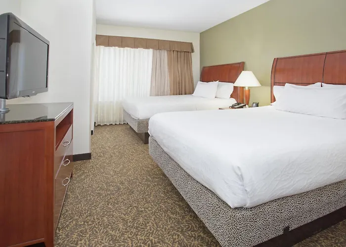Hotel Hilton Garden Phoenix/avondale Avondale